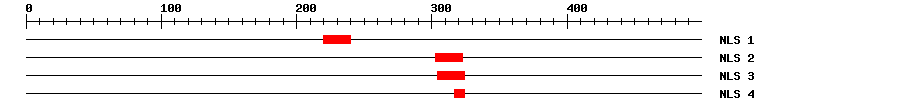 NLS