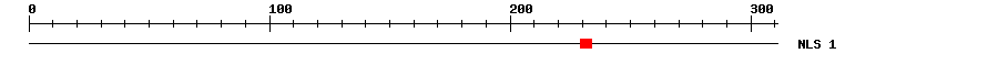 NLS