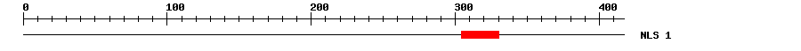 NLS