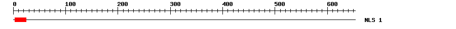 NLS