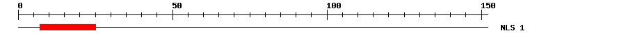 NLS