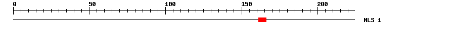 NLS
