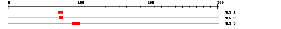 NLS