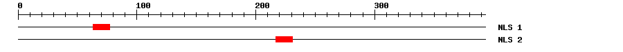 NLS