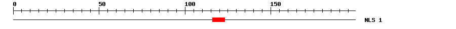 NLS