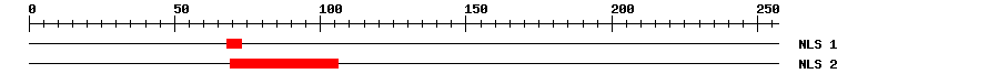 NLS