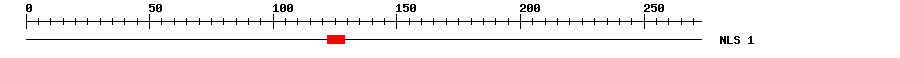 NLS