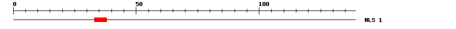 NLS