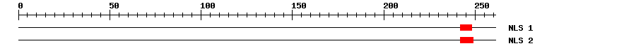 NLS