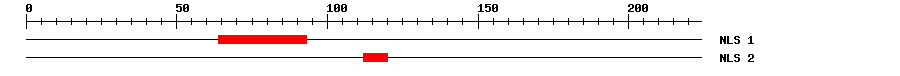 NLS