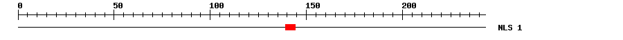 NLS
