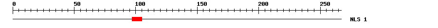NLS