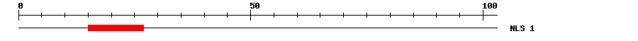 NLS