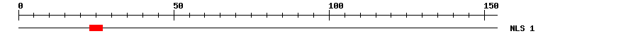 NLS