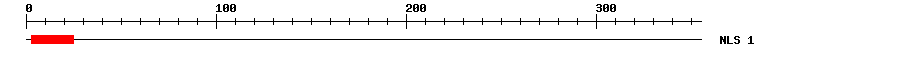 NLS