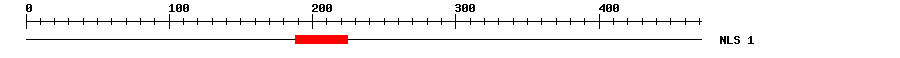 NLS