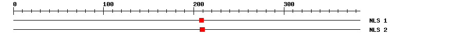 NLS