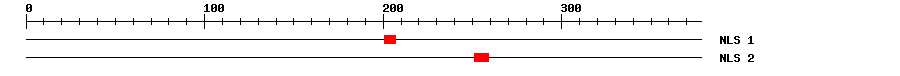 NLS