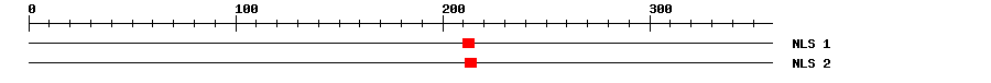 NLS