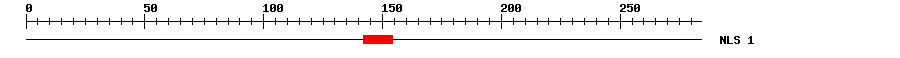 NLS