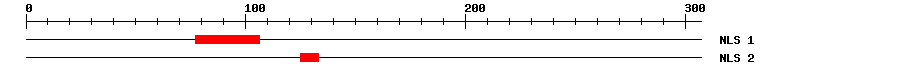 NLS