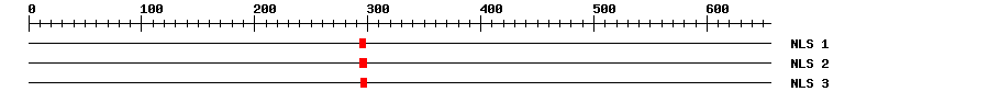 NLS