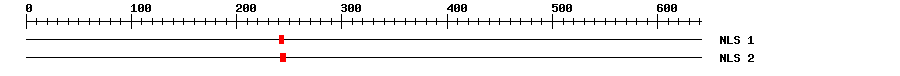 NLS