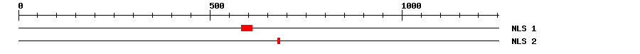 NLS