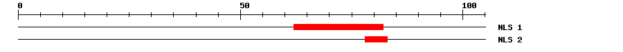 NLS