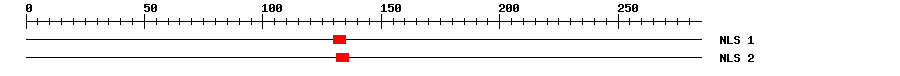 NLS