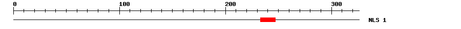 NLS