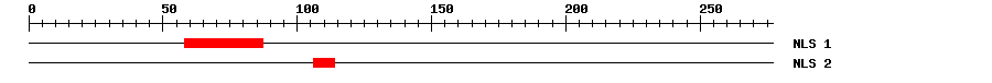 NLS
