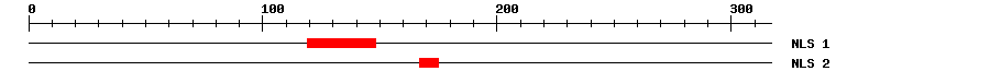 NLS