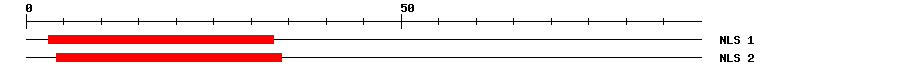 NLS
