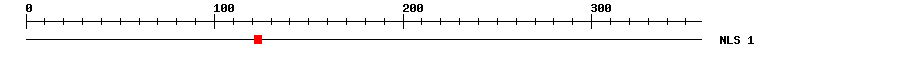 NLS