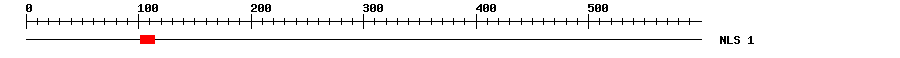 NLS