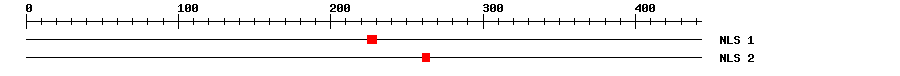 NLS