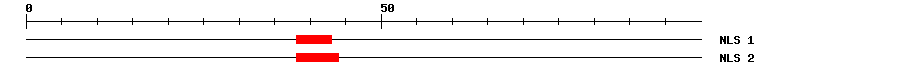 NLS
