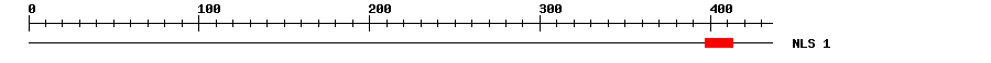 NLS