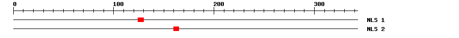 NLS
