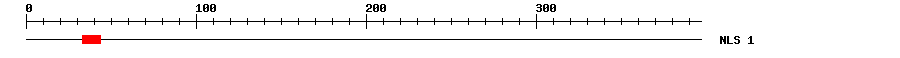NLS