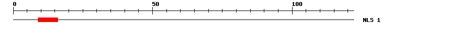 NLS