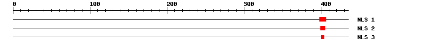 NLS