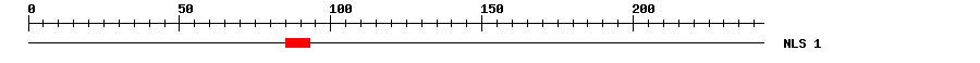 NLS