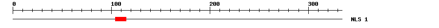 NLS