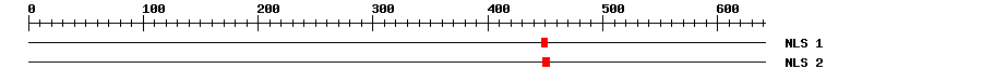 NLS