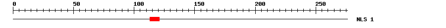 NLS