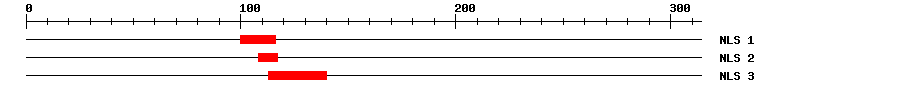 NLS