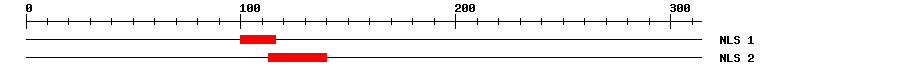 NLS