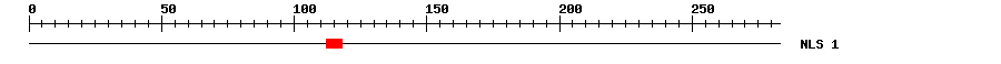 NLS